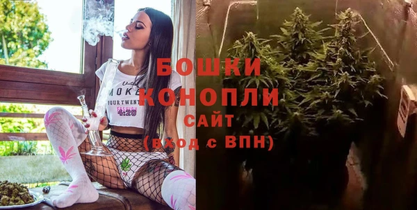 бошки Бронницы
