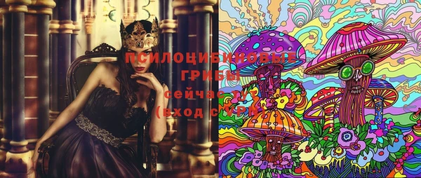 скорость Бородино