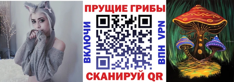 Галлюциногенные грибы Cubensis  купить наркоту  Каменск-Уральский 